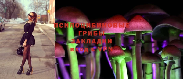 твердый Лиски
