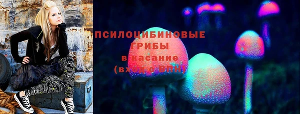 твердый Лиски