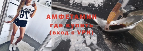 твердый Лиски